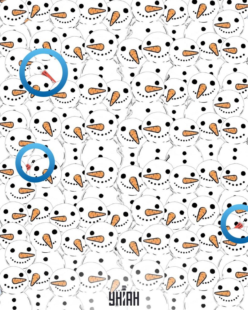 Nájdite 3 bociany medzi snehuliakmi za 11 sekúnd: úžasný optický klam