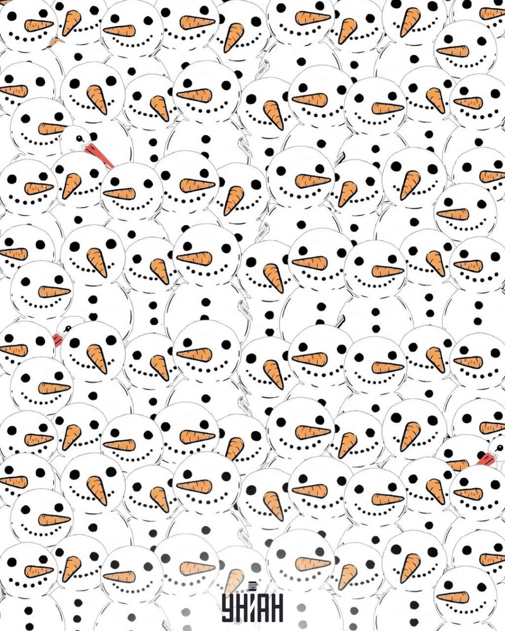 Nájdite 3 bociany medzi snehuliakmi za 11 sekúnd: úžasný optický klam