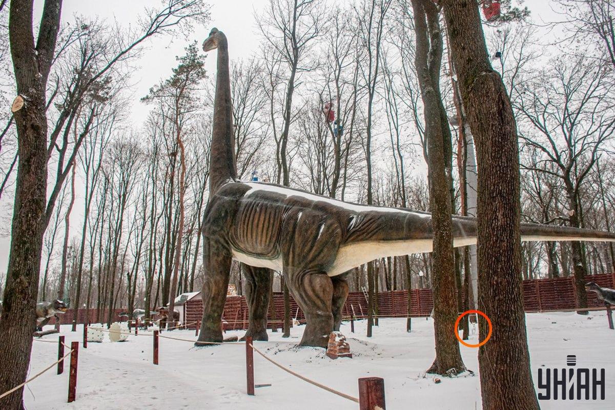 Pes sa nachádzal pri ľavom dolnom rohu obrázku / koláž Moje