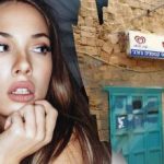 Iba génius by našiel psa na ulici za 7 sekúnd: