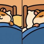 IQ test: nájdite 3 rozdiely na obrázku spiaceho škrečka za 29 sekúnd IQ test: nájdite 3 rozdiely na obrázku spiaceho škrečka za